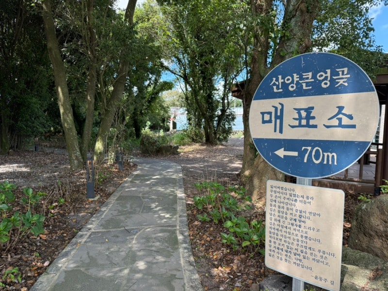 산양큰엉곶