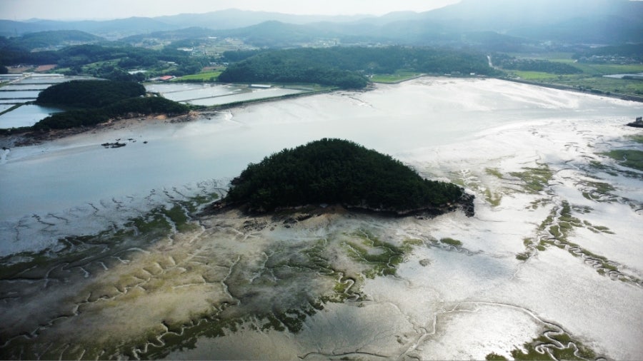 덤섬 사진 3