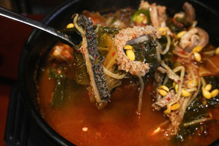  부산 동래구 24시간 해장국 동래맛집 달래해장 부산동래점