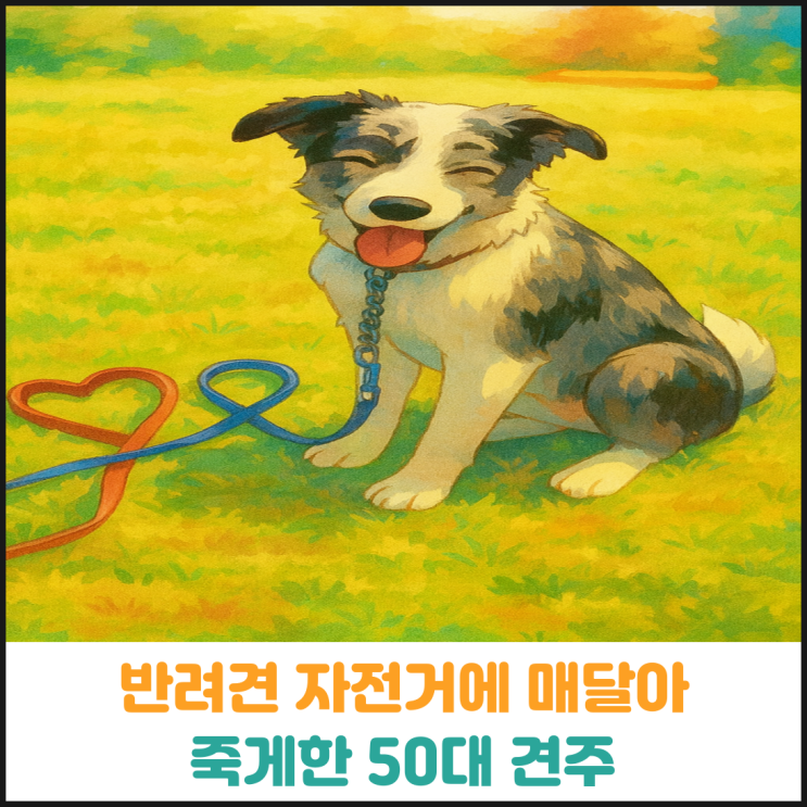  반려견 자전거에 매달아 죽게한 50대 견주