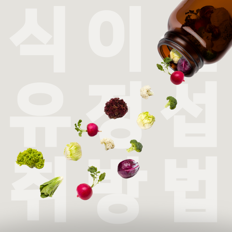  매일 편안한 장 건강, 식이섬유정 효능과 식이섬유정 섭취방법
