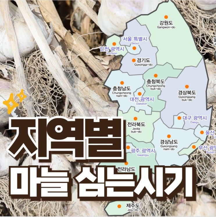  마늘 지역별 심는시기 남부 중부, 심는 방법