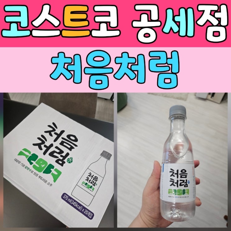  코스트코 추천 주류 처음처럼 페트 소주 구매 후기
