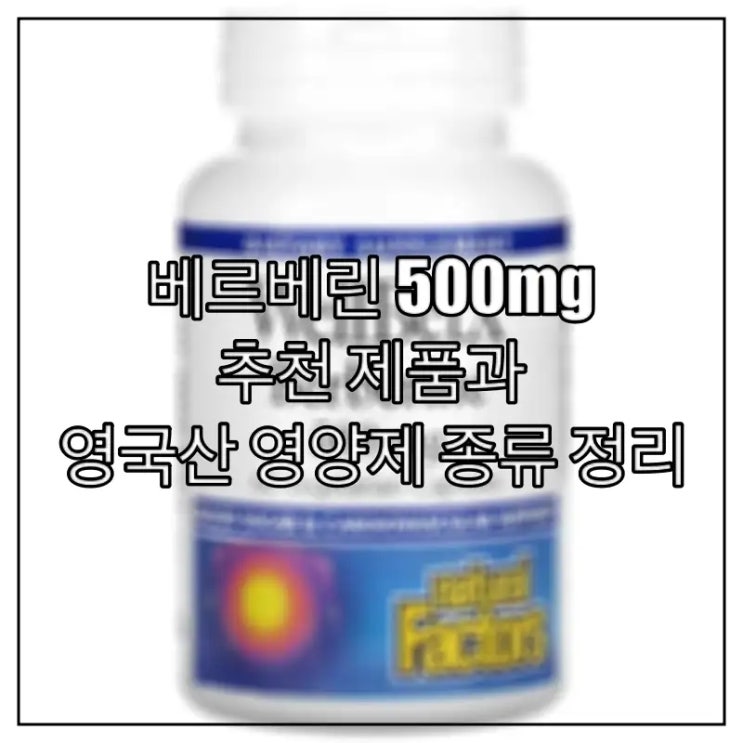  베르베린 500mg 추천 제품과 영국산 영양제 종류 정리