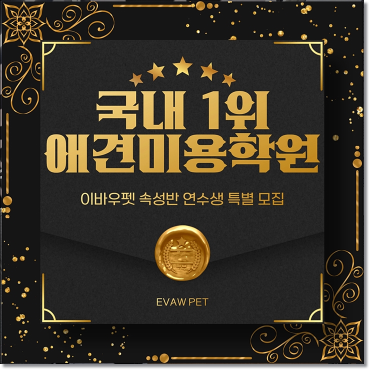  김해애견미용학원 높은 월급과 수익을 원한다면?