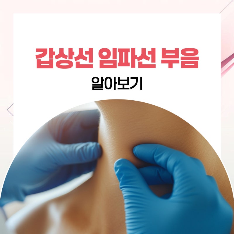 갑상선 임파선 부음 알아보기