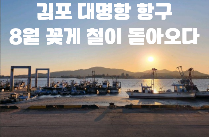  2025.8월24일 실시간 대명항 항구 최근 꽃게 시세와 찜방법 팁