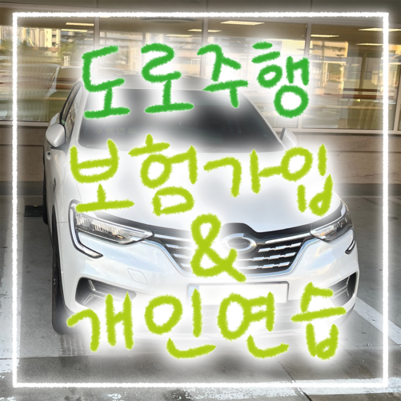 연습운전면허로 자동차보험 가입 및 주행연습 표지로 도로주행 개인연습하기
