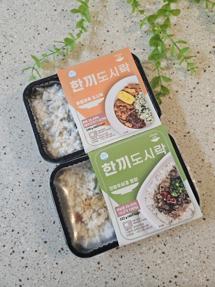  그린잇 한끼도시락 – 직장인 점심 고민 끝! 냉동 간편도시락 추천