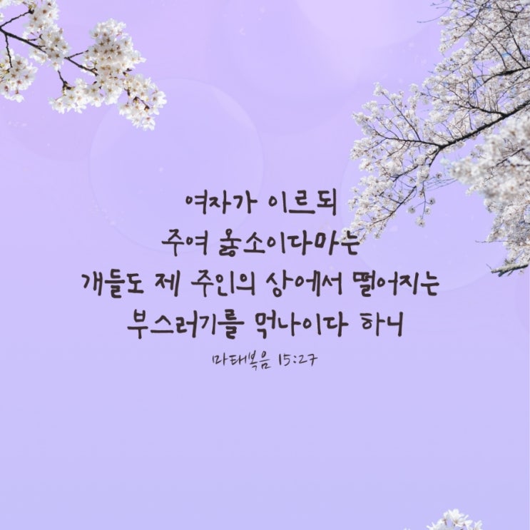  마태복음 15장 26절-27절/ 가나안 여인의 믿음에서 배우는 겸손
