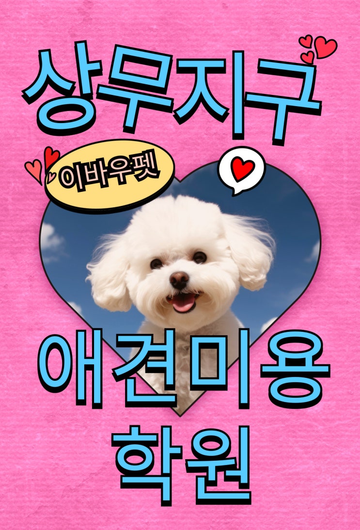  [상무지구애견미용학원] 왜 요즘 수강생 몰리는 걸까?