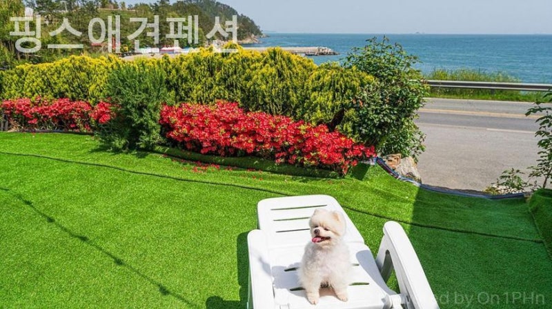 사진 4