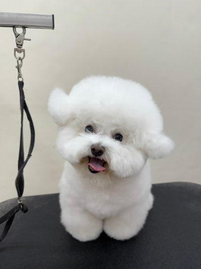 딩굴댕굴 송탄점