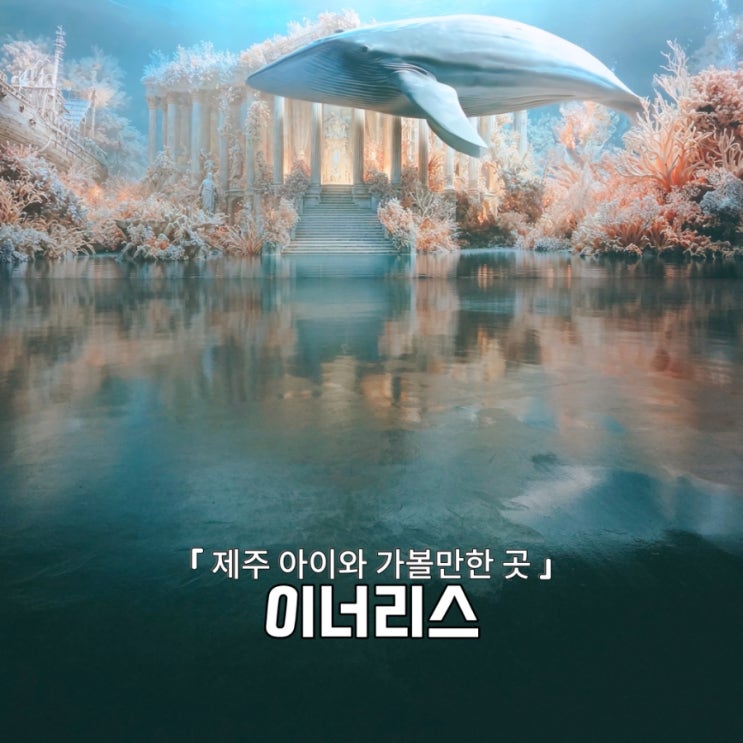  제주 신상 핫플! 제주미디어아트 신세계 이너리스