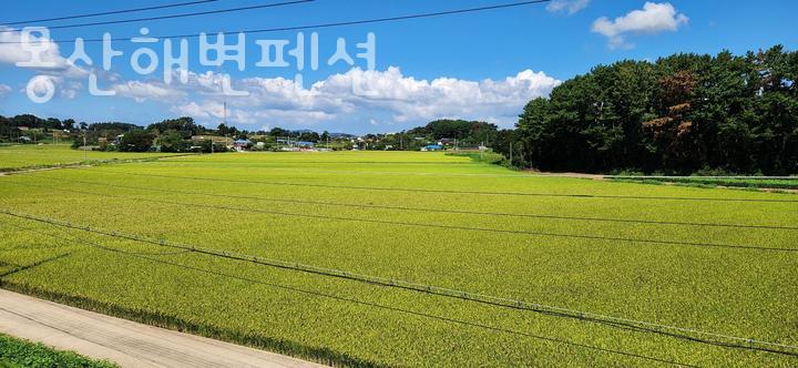 몽산해변펜션 사진 4
