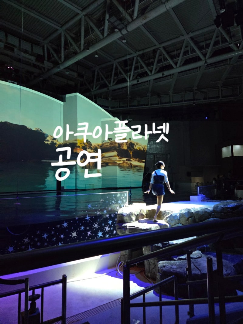 아쿠아플라넷 제주 - 공연 팁, 푸드코트 이용