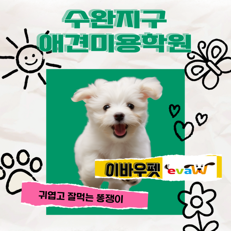  [수완지구애견미용학원] 선택 가이드, 실패 없는 꿀팁 공개