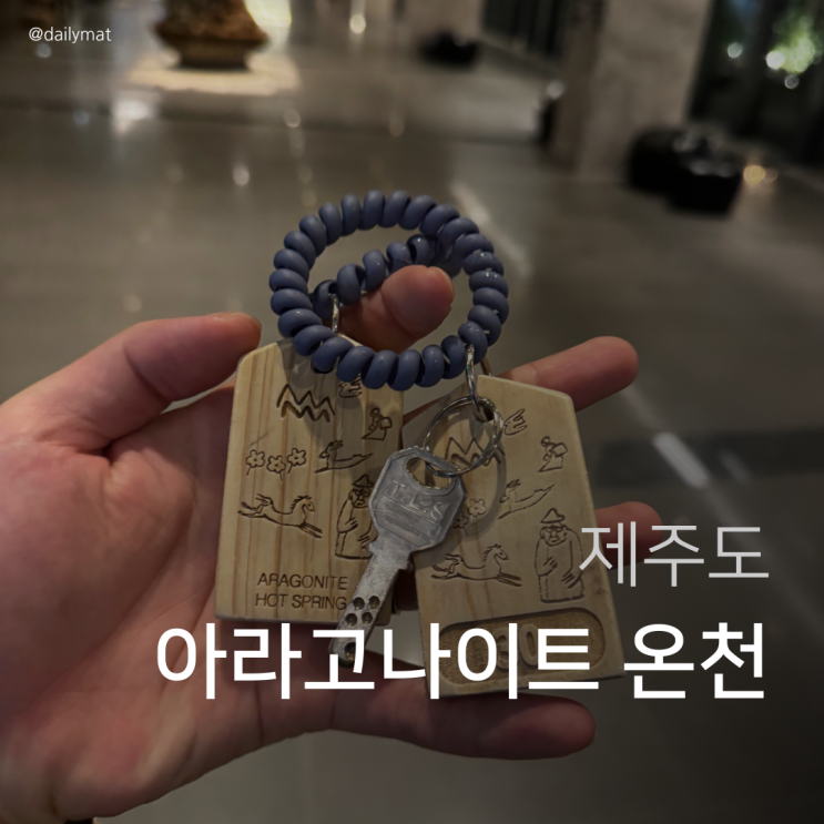  포도호텔 디아넥스 아라고나이트 온천 후기
