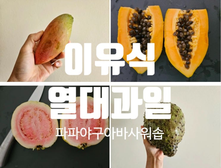  [Rana이유식]이유식 이색 열대과일 6종: 파파야, 구아바, 사워솝까지