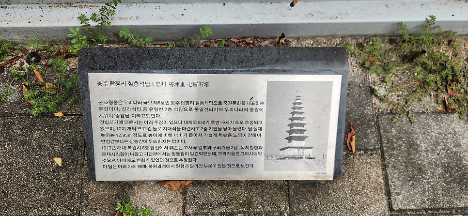 만수무강 사진 2