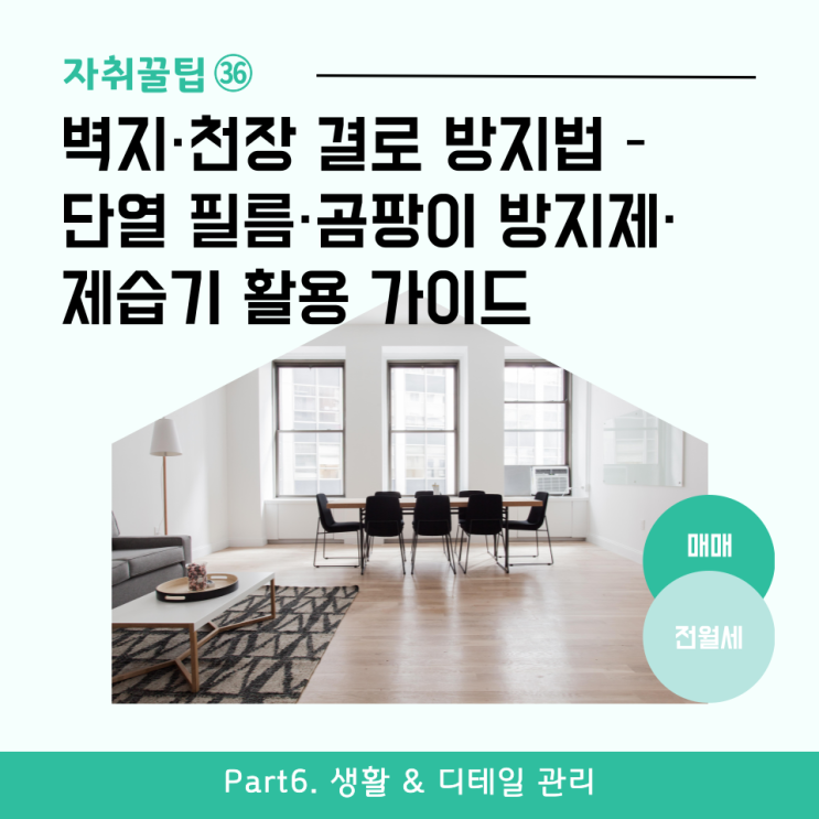  [자취꿀팁㊱] 벽지·천장 결로 방지법 – 단열 필름·제습기·곰팡이 방지제 완전 활용 가이드