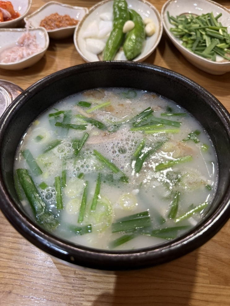  [내돈내먹] 부산 덕천 돼지국밥 맛집 혼밥도 가능한 더도이 종가집 돼지국밥 본점