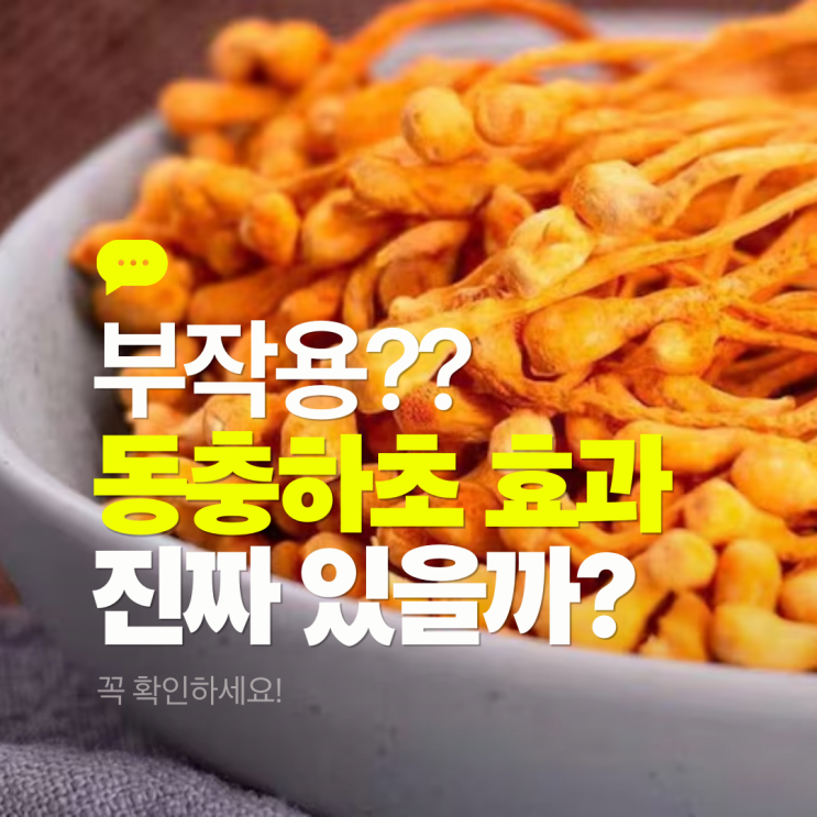  동충하초 효능 4가지 부작용도 알고 먹어요!