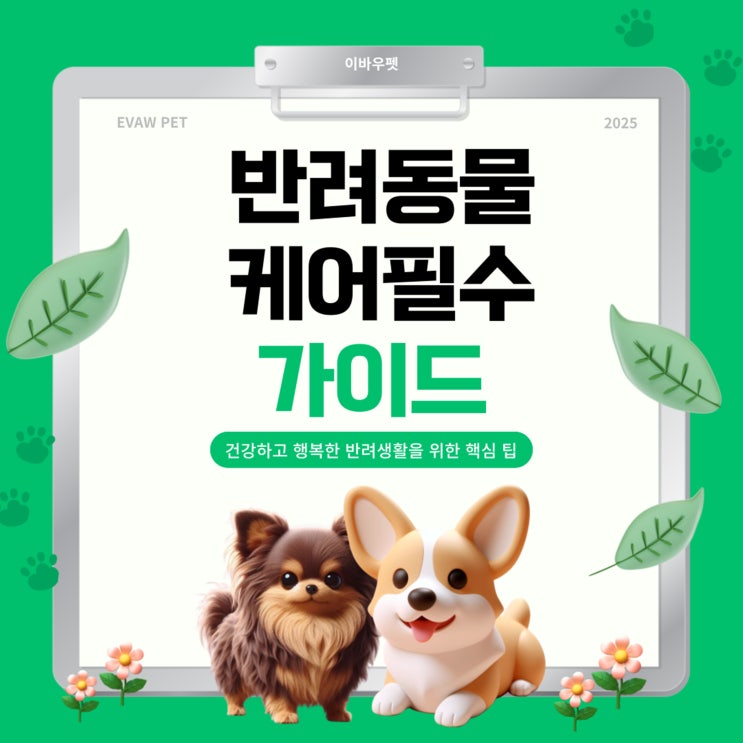  금호동애견미용 : 우리 아이를 위한 전문 케어 가이드