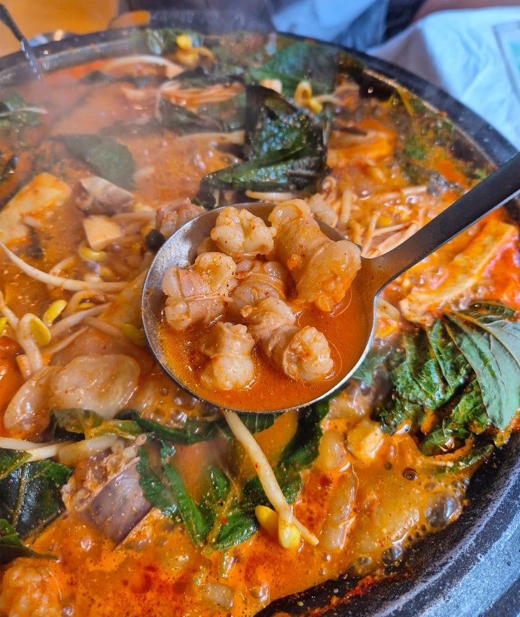  서울 미아 곱창전골 맛집 '순곱이네' 대패삼겹살이 서비스로 나오는 순대+한우소곱창전골 맛집