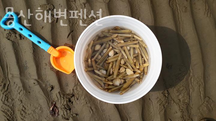 몽산해변펜션 사진 5