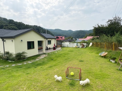 사진 2