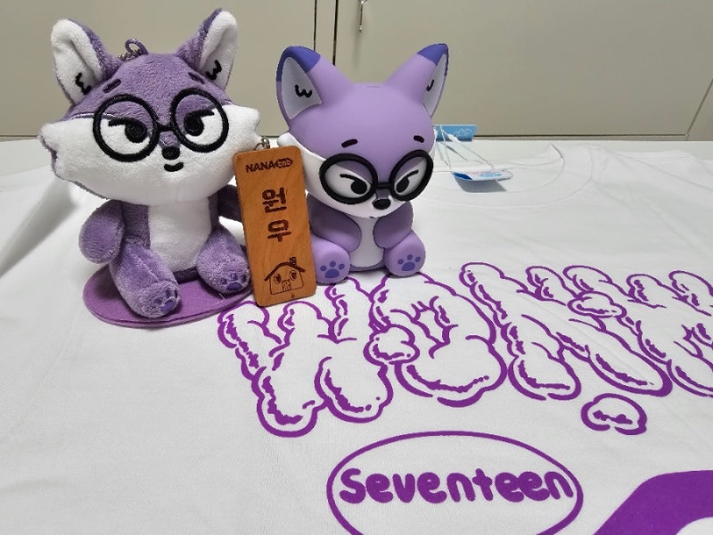 [SEVENTEEN MD開封] ナナミンバク ウォヌ 半袖Tシャツ、ウォヌ ネームプレートキーリンググッズ_レビュー
