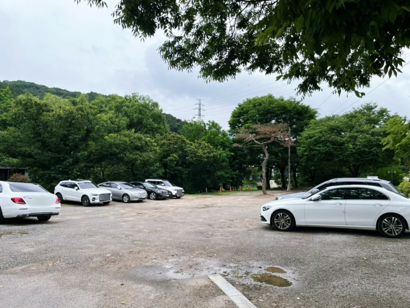 사진 5