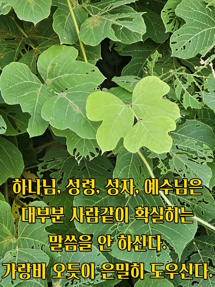  jms 정명석목사 잠언 ㅡ 은밀히 도우신다
