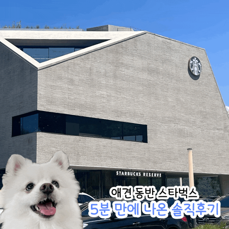  애견 동반 스타벅스 더북한강R점 5분 만에 도망 나온 솔직후기