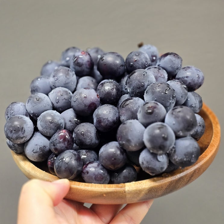  평택 과일가게, 소사벌 자연을담은과일 송산 켐벨 포도 맛있네