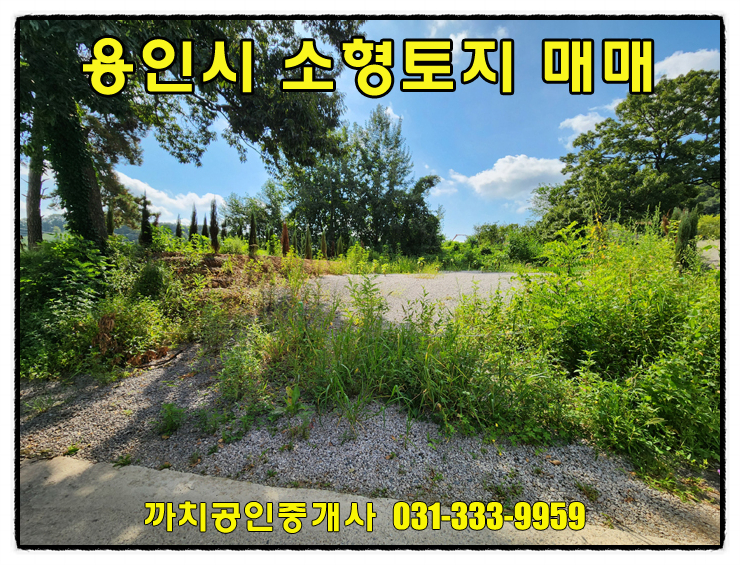  용인 포곡 소형토지매매 203평 나대지·야적장 가능, 개발비 절감 입지