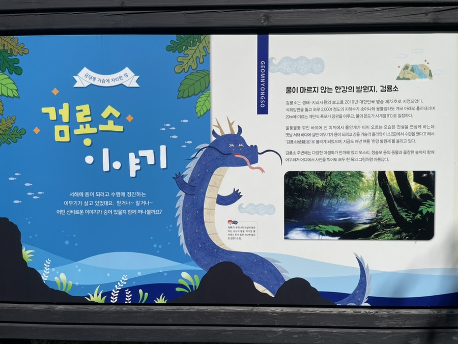태백찹쌀옹심이 사진 4