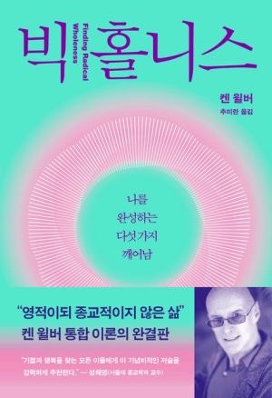  독후감: 켄 윌버의 『빅 홀니스』
