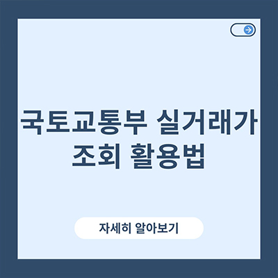  국토교통부 실거래가 조회 활용법