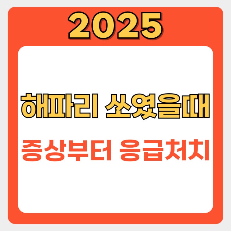  해파리에 쏘였을 때 이렇게 대처하세요! 증상부터 응급처치까지