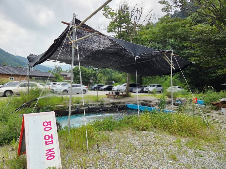 별장한방토종닭 사진 2