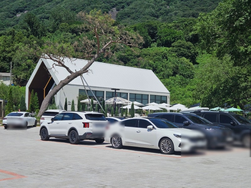 사진 6
