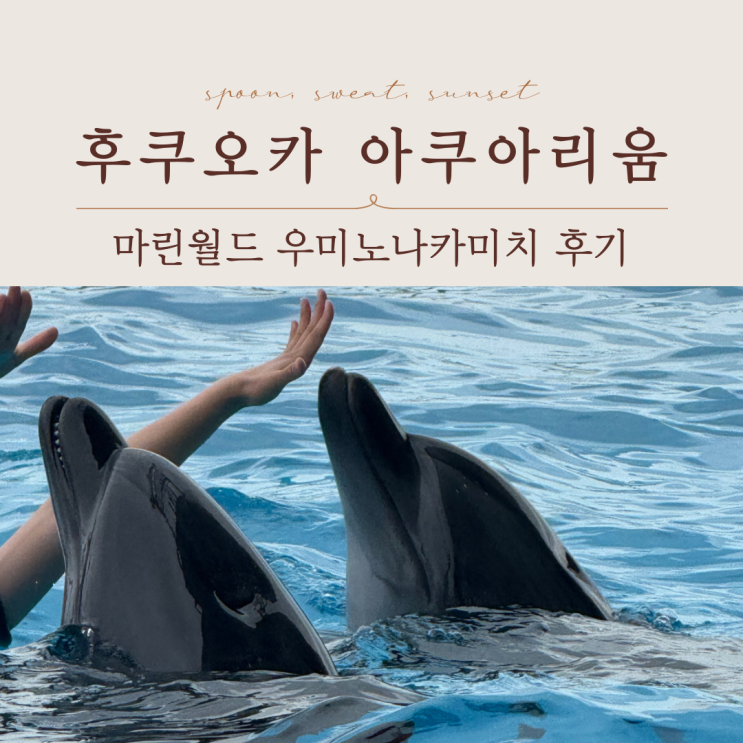  후쿠오카 아쿠아리움 필수 코스! 마린월드 우미노나카미치 후기