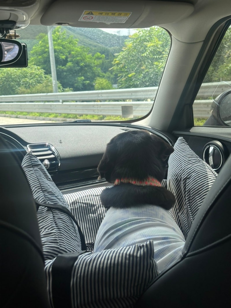 사진 11