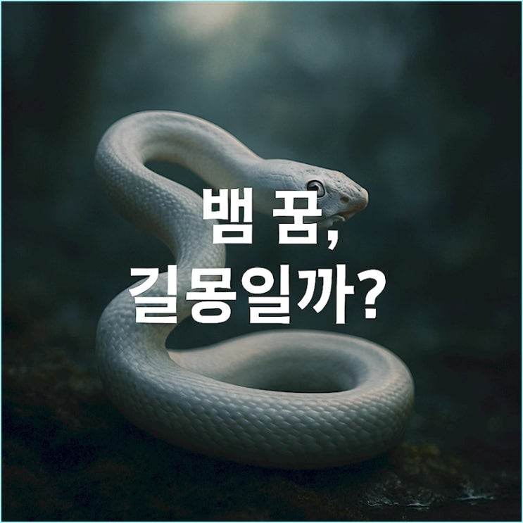  하얀 뱀 꿈, 구렁이 꿈, 뱀에 물리는 꿈... 길몽일까 흉몽일까?
