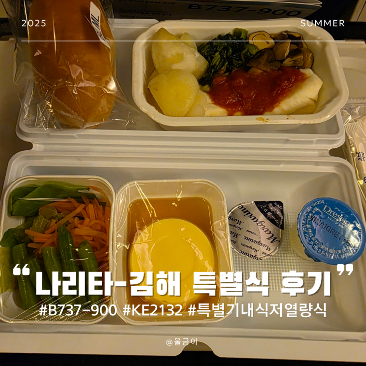  일본 나리타-김해 대한항공 B737-900 KE2132 특별 기내식 저열량식 후기