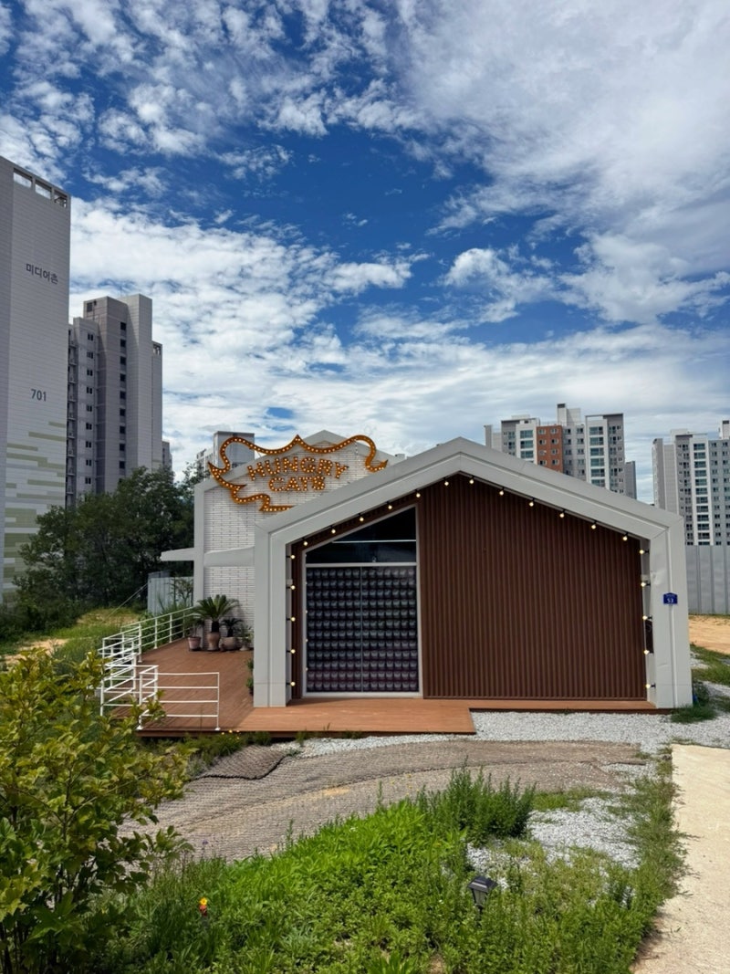 사진 6