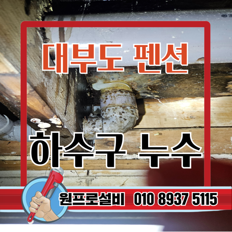  대부도설비 전문, 펜션 하수구 누수 완벽 해결 사례