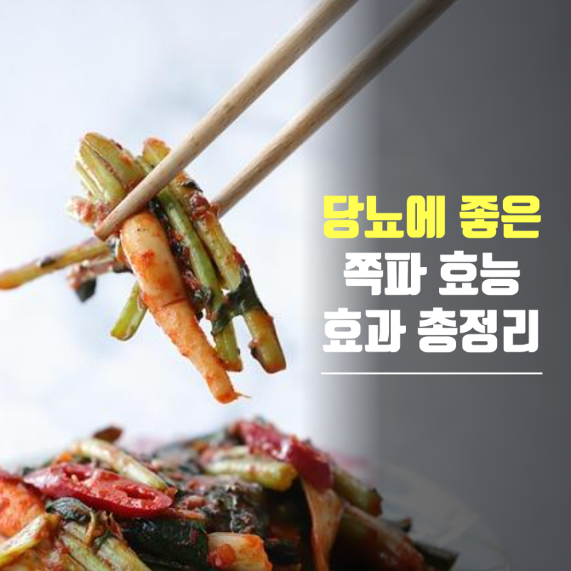 당뇨에 좋은 음식 ‘쪽파’! 효능 효과부터 맛있는 레시피까지 한 방에!